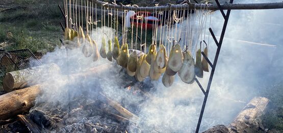 2026 - 5 Sommertur d. 27. maj 2026 kl 17.30-21.00