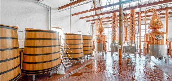 Sommeraften med ErhvervsKvinder Fyn - sanser, netværk og fællesskab