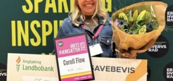 Netværksarrangement - Årets Iværksætter gæster Erhvervskvinder Vestjylland!