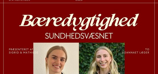 BÆREDYGTIGHED I SUNDHEDSVÆSENET