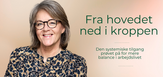 "Systemisk opstilling prøvet på"